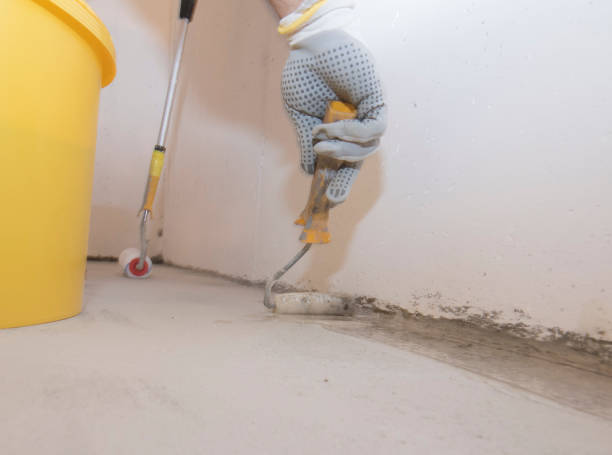 Best Fumigation Services  in La Feria, TX